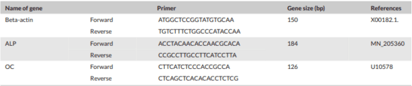 Effect of strontium ranelate and cerium oxide addition in the diet on bone quality and expression level of osteocalcin and alkaline phosphatase genes in broiler chicken - Image 2