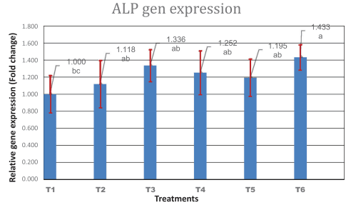 Effect of strontium ranelate and cerium oxide addition in the diet on bone quality and expression level of osteocalcin and alkaline phosphatase genes in broiler chicken - Image 7