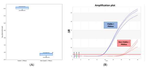 Figure 4. Effect of PMAxxTM treatment on target DNA amplification of viable and non-viable Salmonella cultures. Values are medians plus their respective interquartile ranges (n = 3). Asterisk denotes differences between groups (A). Differences in Ct values (B).