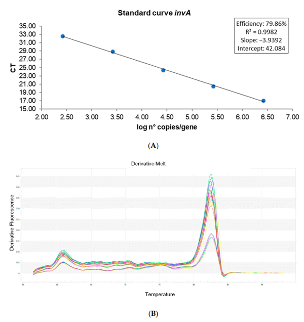 Figure 2. Amplification efficiency (A) and melting curve analysis (B) of primers targeting the invA gene. Ct values are averages from three measurements (n = 3).