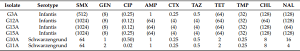 Whole-Genome Sequencing Reveals the Presence of the blaCTX-M-65 Gene in Extended-Spectrum ß-Lactamase-Producing and Multi-Drug-Resistant Clones of Salmonella Serovar Infantis Isolated from Broiler Chicken Environments in the Galapagos Islands - Image 1