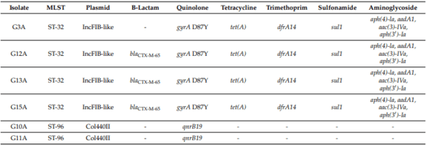 Whole-Genome Sequencing Reveals the Presence of the blaCTX-M-65 Gene in Extended-Spectrum ß-Lactamase-Producing and Multi-Drug-Resistant Clones of Salmonella Serovar Infantis Isolated from Broiler Chicken Environments in the Galapagos Islands - Image 2