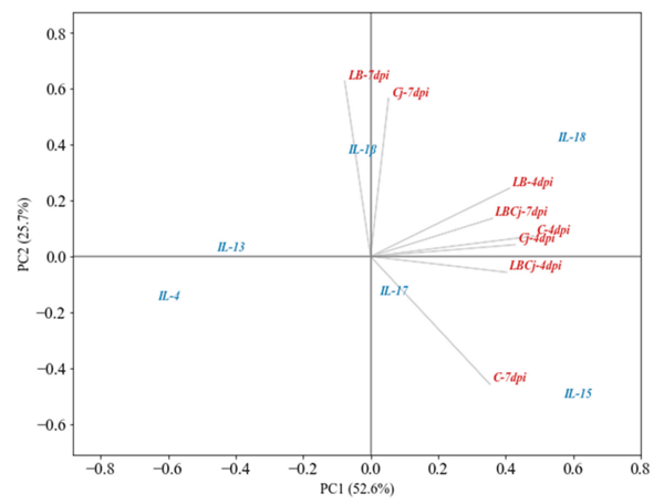 Figure 3. Ordination map by principal component analysis (PCA) of the cecal cytokine response, at 4 days post-infection (dpi) and 7 dpi, in birds exposed to L. fermentum and C. jejuni