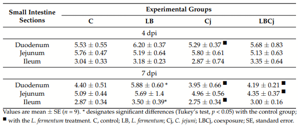 Table 2. Villus height to crypt ratio in broilers exposed to different bacterial treatments.