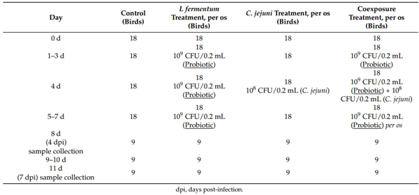 Table 1. Scheme aimed at assessing body weight, intestinal morphometry and cytokine transcript response in chickens supplemented with the probiotic and C. jejuni