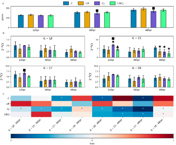 Effects of Lactobacillus Fermentum Supplementation on Body Weight and Pro-Inflammatory Cytokine Expression in Campylobacter Jejuni-Challenged Chickens - Image 3
