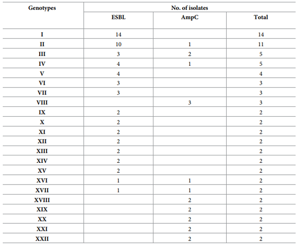 Table 5. Genotypes of ESBL and AmpC E. coli with more than one isolate.