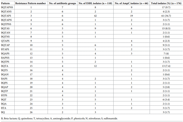 Table 1. Antibiotic resistance patterns of ESBL/AmpC E. coli isolated from poultry farms.