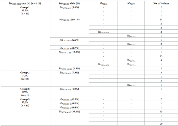 Table 4. Combination of blaCTX-M, blaTEM and blaSHV alleles in ESBL E. coli isolates