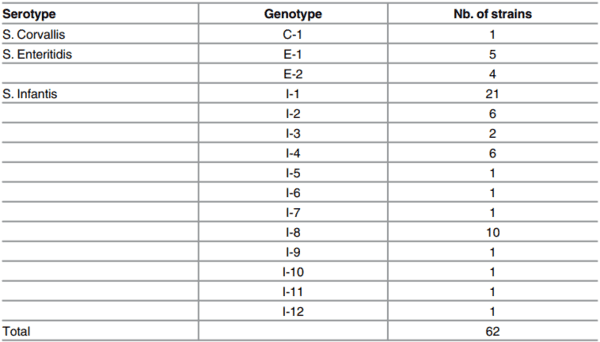 Prevalence and Diversity of Salmonella Serotypes in Ecuadorian Broilers at Slaughter Age - Image 2