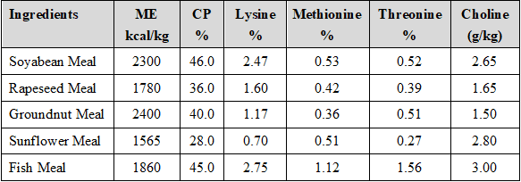 Crafting a Symphony of Poultry Health and Production with Choline - Image 5