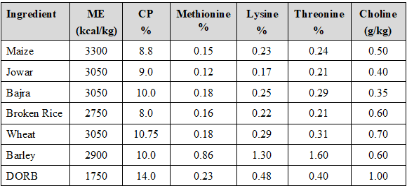 Crafting a Symphony of Poultry Health and Production with Choline - Image 4