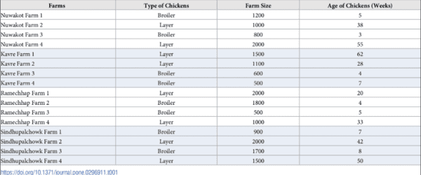 Antimicrobial stewardship hindered by inadequate biosecurity and biosafety practices, and inappropriate antibiotics usage in poultry farms of Nepal – A pilot study - Image 2