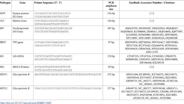 Antimicrobial stewardship hindered by inadequate biosecurity and biosafety practices, and inappropriate antibiotics usage in poultry farms of Nepal – A pilot study - Image 1