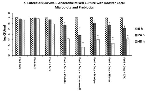 Fig 2. S. Enteritidis enumeration at 0h, 24h, and 48h. Survival of Salmonella Enteritidis strain SE 13A in in vitro mixed anaerobic cultures with and without prebiotics. The treatments included a commercial-type, wheat-based laying hen ration fed to the roosters housed at the Poultry Research Centre, rooster cecal contents only, feed and cecal contents only, the control diet with Citristim at 1.0 kg/tonne, the control diet with Immunowall at 0.5 kg/tonne, the control diet with Maxi-Gen at 1.0 kg/tonne, the control diet with Hilyses at 2.5 kg/tonne, and the control diet with XPC at 2.5 kg/tonne. Data points and brackets represent three biological replicates’ mean and standard error. At 48 hours, Hilyses and Immunowall had one and two ceca, respectively, with no detectable Salmonella by direct plating and TT enrichment but were recorded as “1 CFU/ml” because zero could not be graphed on a logarithmic scale. In some cases, lower error bars appear longer than upper error bars due to plotting on a log scale. Asterisks are included that show significance between the treatments and the feed and cecal contents only control.