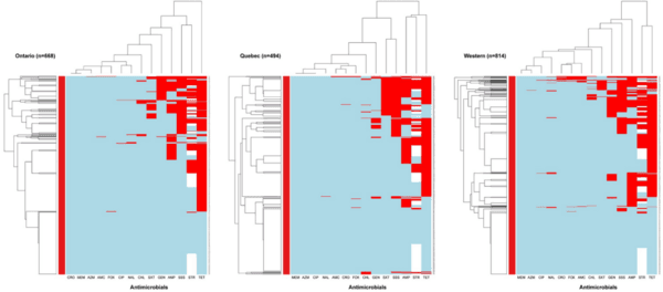 Decrease in the prevalence of antimicrobial resistance in Escherichia coli isolates of Canadian turkey flocks driven by the implementation of an antimicrobial stewardship program - Image 9