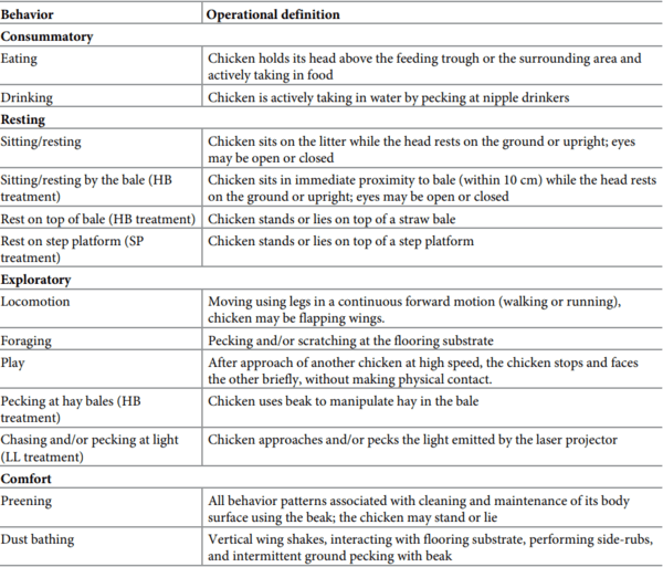 Providing environmental enrichments can reduce subclinical spondylolisthesis prevalence without affecting performance in broiler chickens - Image 2