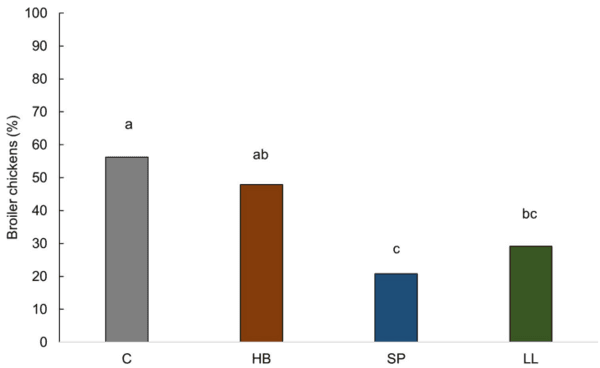 Providing environmental enrichments can reduce subclinical spondylolisthesis prevalence without affecting performance in broiler chickens - Image 9