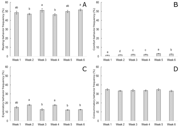 Providing environmental enrichments can reduce subclinical spondylolisthesis prevalence without affecting performance in broiler chickens - Image 5