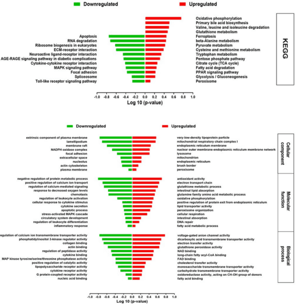 Host transcriptome response to heat stress and Eimeria maxima infection in meat-type chickens - Image 13