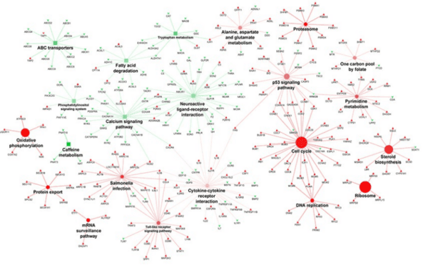 Host transcriptome response to heat stress and Eimeria maxima infection in meat-type chickens - Image 9