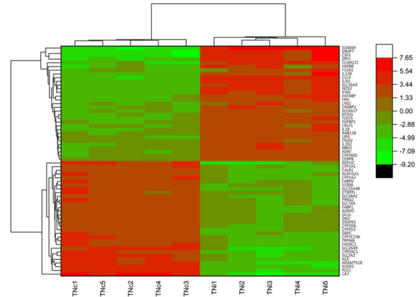 Host transcriptome response to heat stress and Eimeria maxima infection in meat-type chickens - Image 5