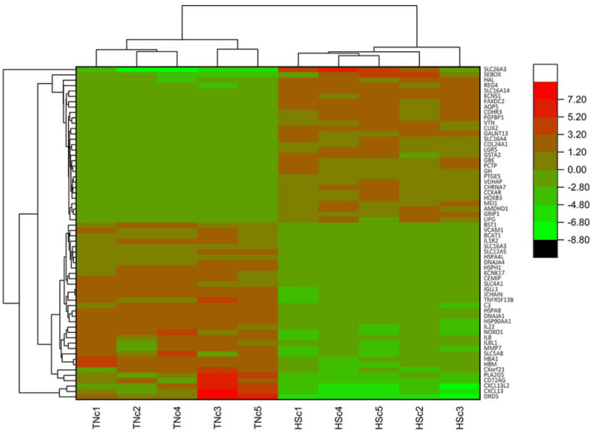 Host transcriptome response to heat stress and Eimeria maxima infection in meat-type chickens - Image 2