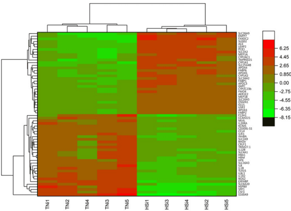 Host transcriptome response to heat stress and Eimeria maxima infection in meat-type chickens - Image 11