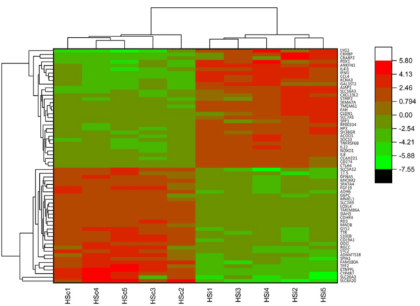 Host transcriptome response to heat stress and Eimeria maxima infection in meat-type chickens - Image 8