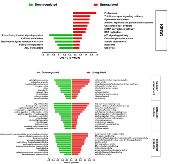 Host transcriptome response to heat stress and Eimeria maxima infection in meat-type chickens - Image 10