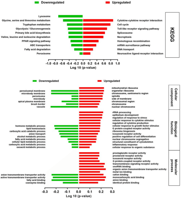 Host transcriptome response to heat stress and Eimeria maxima infection in meat-type chickens - Image 7