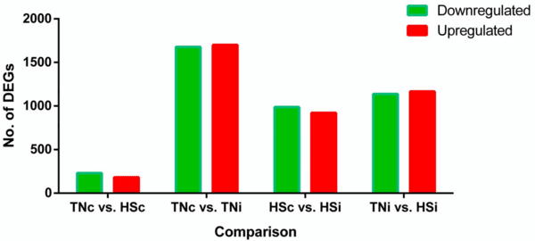 Host transcriptome response to heat stress and Eimeria maxima infection in meat-type chickens - Image 1