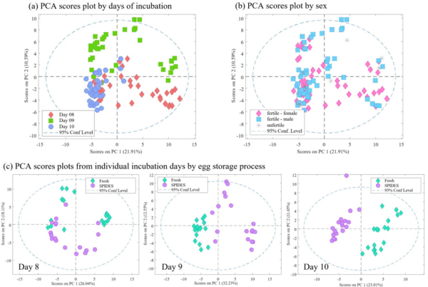 Active sampling of volatile chemicals for non-invasive classification of chicken eggs by sex early in incubation - Image 3