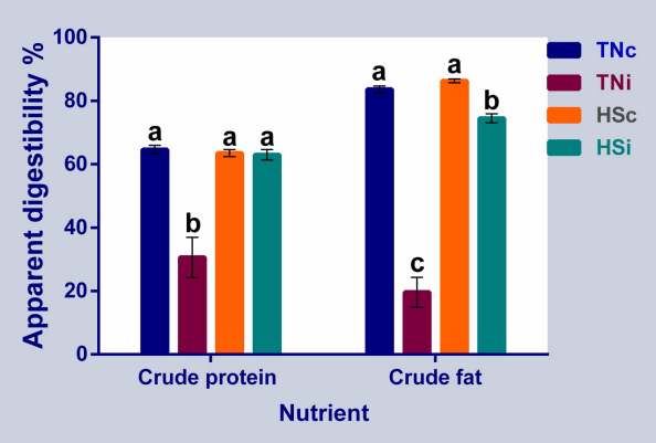 Fig 3. Chickens’ ileal crude protein and fat digestibility. The crude protein and crude fat apparent ileal digestibility at 6 dpi of chickens infected with E. maxima and their uninfected controls that are raised in a thermoneutral or heat stress environment: TNc = thermoneutral control, TNi = thermoneutral infected, HSc = heat stress control, HSi = heat stress infected. Significant differences (p < 0.05) were depicted by different letters. The error bars represent the SEM.