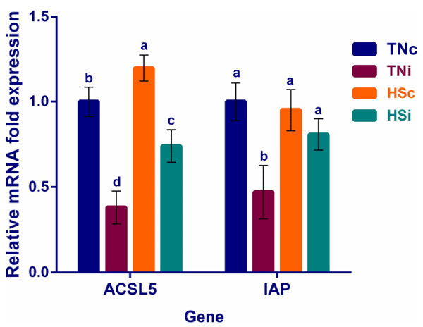 Fig 7. The mRNA expression of the ileal villus absorptive enterocytes’ marker genes. The mRNA fold expression of marker genes specific for ileal villus absorptive enterocytes at 6 dpi of chickens infected with E. maxima and their uninfected controls that are raised in a thermoneutral or heat stress environment: TNc = thermoneutral control, TNi = thermoneutral infected, HSc = heat stress control, HSi = heat stress infected. Significant differences (p < 0.05) were depicted by different letters. The error bars represent the SEM.