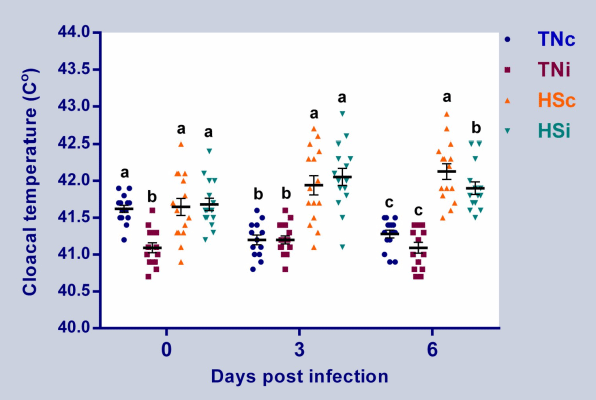 Fig 1. Cloacal temperature. Cloacal temperature of chickens infected with E. maxima and their uninfected controls that are raised in a thermoneutral or heat stress environment: TNc = thermoneutral control, TNi = thermoneutral infected, HSc = heat stress control, HSi = heat stress infected. Significant differences (p < 0.05) were depicted by different letters. The error bars represent the SEM.