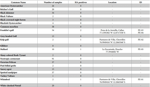 Table 2. Twenty-one different avian species identified as possible reservoir of avian influenza virus in Lima Metropolitan Region, Peru, Pacific flyway, South America.