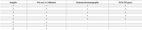 Table 1. Status of samples tested positives by hemagglutination test followed by confirmation using rapid antigen and PCR tests for influenza A virus.