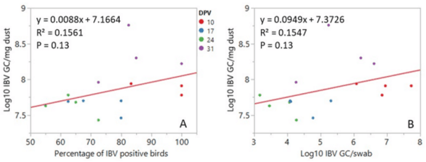 Comparison of tracheal and choanal cleft swabs and poultry dust samples for detection of Newcastle disease virus and infectious bronchitis virus genome in vaccinated meat chicken flocks - Image 5