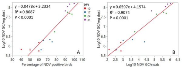 Comparison of tracheal and choanal cleft swabs and poultry dust samples for detection of Newcastle disease virus and infectious bronchitis virus genome in vaccinated meat chicken flocks - Image 4