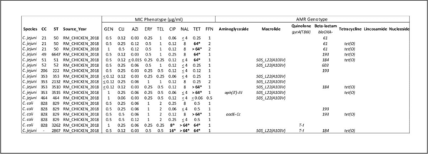 Antimicrobial resistance and interspecies gene transfer in Campylobacter coli and Campylobacter jejuni isolated from food animals, poultry processing, and retail meat in North Carolina, 2018–2019 - Image 2