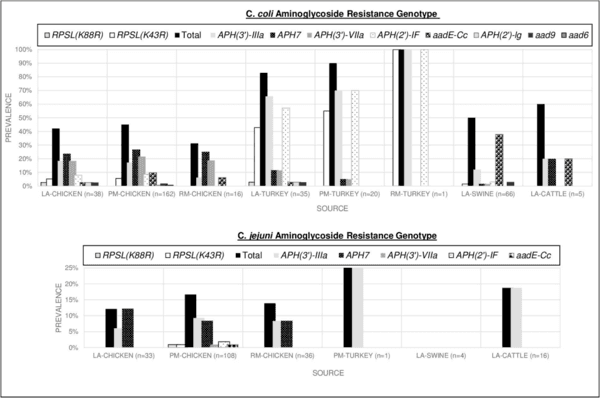 Antimicrobial resistance and interspecies gene transfer in Campylobacter coli and Campylobacter jejuni isolated from food animals, poultry processing, and retail meat in North Carolina, 2018–2019 - Image 4