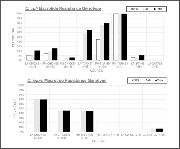 Antimicrobial resistance and interspecies gene transfer in Campylobacter coli and Campylobacter jejuni isolated from food animals, poultry processing, and retail meat in North Carolina, 2018–2019 - Image 5