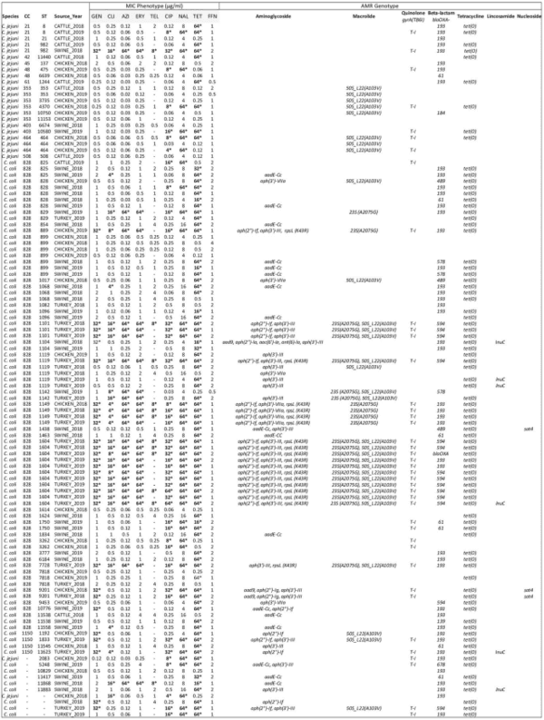 Antimicrobial resistance and interspecies gene transfer in Campylobacter coli and Campylobacter jejuni isolated from food animals, poultry processing, and retail meat in North Carolina, 2018–2019 - Image 1