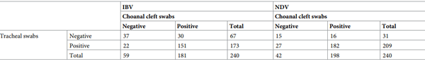 Table 3. Number of birds positive and negative for IBV and NDV GC in choanal cleft and tracheal swabs.