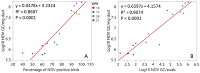 Fig 1. Linear association of log10 NDV GC in dust with the percentage of NDV positive birds in swabs (A) and log10 NDV GC in swabs (B). Each data point represents the mean value for each one of the four poulty houses on a given dpv.