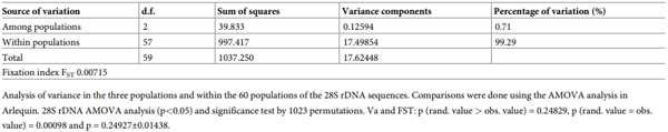 Table 3. The genetic variance of the Aspergillus isolates using the 28S rDNA.