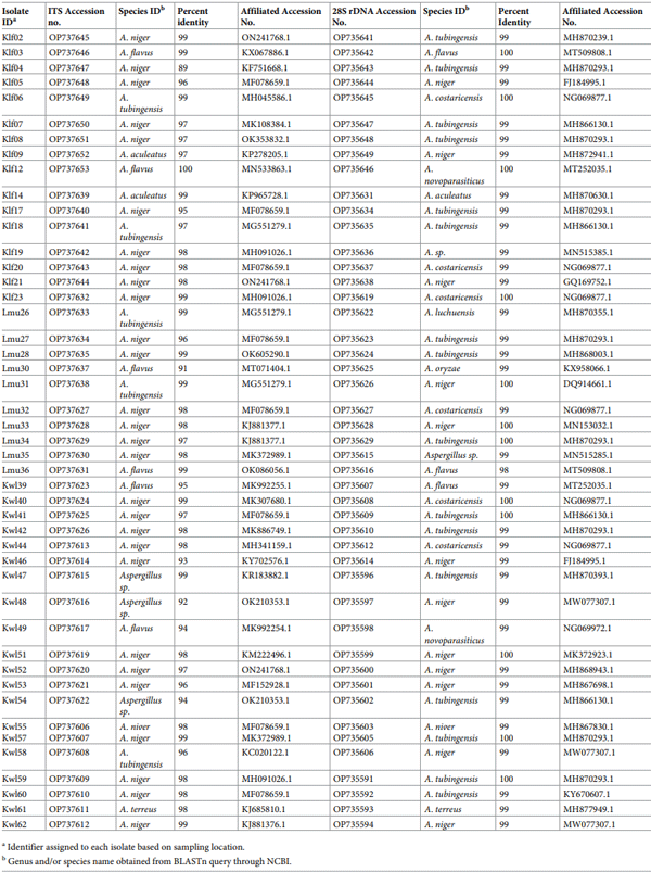 Table 2. Molecular confirmation of Aspergillus isolates, based on BLAST query of the ITS and 28s rDNA sequences, along with their GenBank accession numbers.