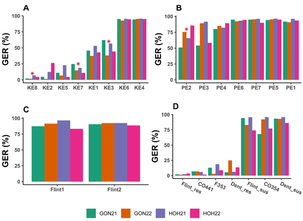 Fig 2. Barplots showing Gibberella ear rot (GER) severity (back-transformed values, %) of parental and standard lines evaluated at each of two locations (GON and HOH) in 2021 and 2022. GON21, GON22, HOH21, HOH22 are the four environments based on location × year combinations. (A) doubled haploid lines of Kemater (KE) landrace used as donor parents, (B) doubled haploid lines of Petkuser (PE) landrace used as donor parents, (C) recipient parents and (D) standard lines (res = resistant, sus = susceptible). The asterisk (*) indicates lines selected as donor parents for development of doubled haploid populations.