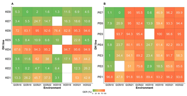 Fig 4. Heatmaps showing relative stability of mean Gibberella ear rot (GER) severity (back-transformed values, %) of lines drawn from landraces evaluated in eight environments (= two locations × four years). (A) GER severity of eight doubled haploid (DH) lines from Kemater landrace and (B) GER severity of seven DH lines from Petkuser landrace. Color gradient shows the relative severity and stability of GER infections in each environment. Mean GER severity in 2018 and 2019 were reported by Gaikpa et al. [27].